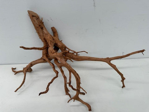 Natural Products Indonesian Forest Wood Red (Per Piece)