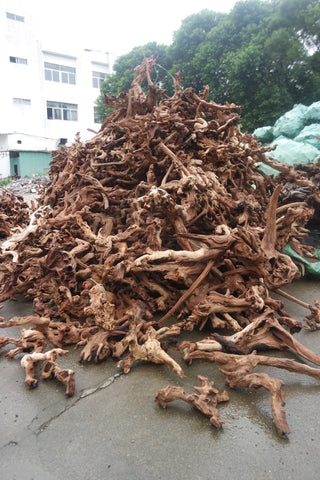 Natural Products Coral Wood 20Kg