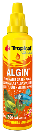 Tropical Algin