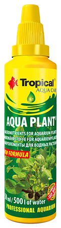 Tropical Aqua Plant