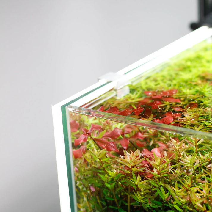 Chihiros Led Background – Oz Aquarium Distributors