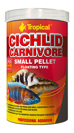 Tropical Cichlid Carnivore Small