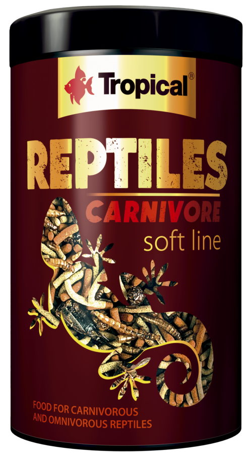 Tropical Reptile Soft Carnivore