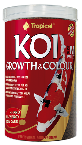 Tropical Koi Growth & Colour