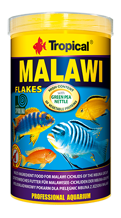 Tropical Malawi Flakes