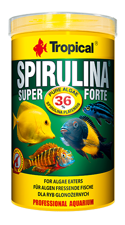 Tropical Super Spirulina Forte Flakes